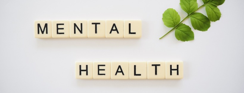 Scrabble tiles spelling out mental health on a white background with a green leafy branch next to it, for mental health and nutrition for special needs mums